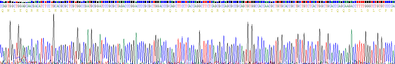 Recombinant Insulin Like Protein 3 (INSL3)