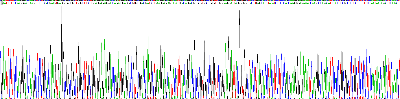 Recombinant Dipeptidyl Peptidase 6 (DPP6)