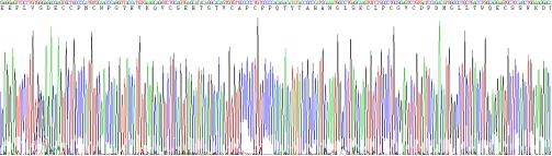 Recombinant Tumor Necrosis Factor Receptor Superfamily, Member 14 (TNFRSF14)