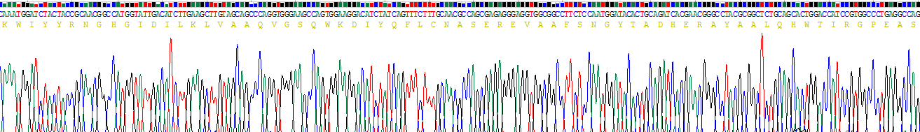 Recombinant Tumor Necrosis Factor Receptor Superfamily, Member 21 (TNFRSF21)