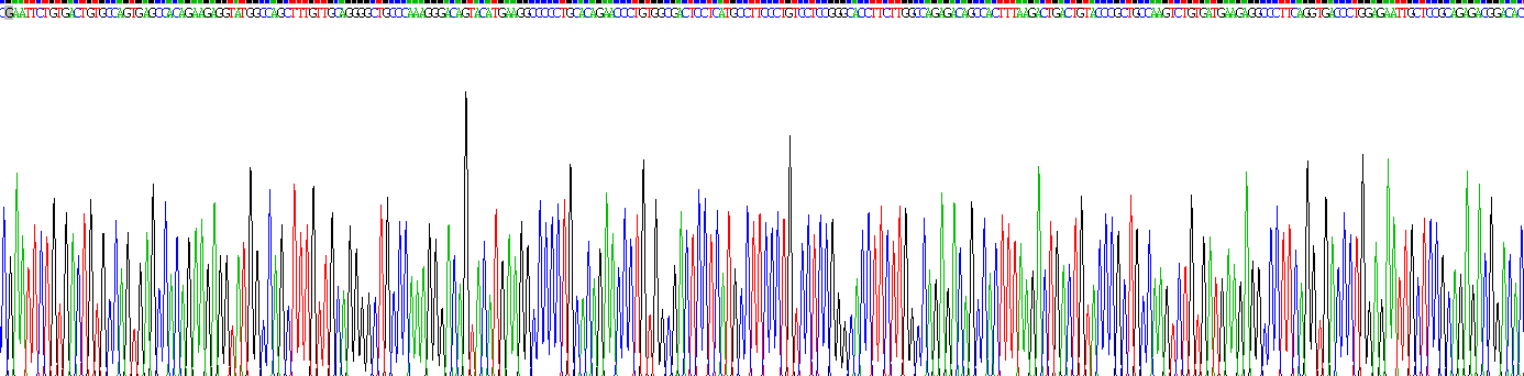 Recombinant Tumor Necrosis Factor Receptor Superfamily, Member 25 (TNFRSF25)