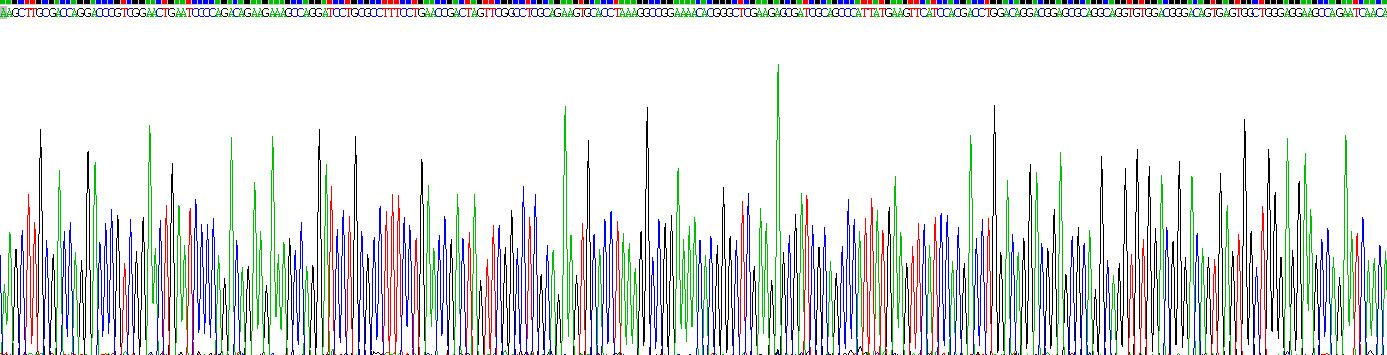 Recombinant Tumor Necrosis Factor Ligand Superfamily, Member 12 (TNFSF12)