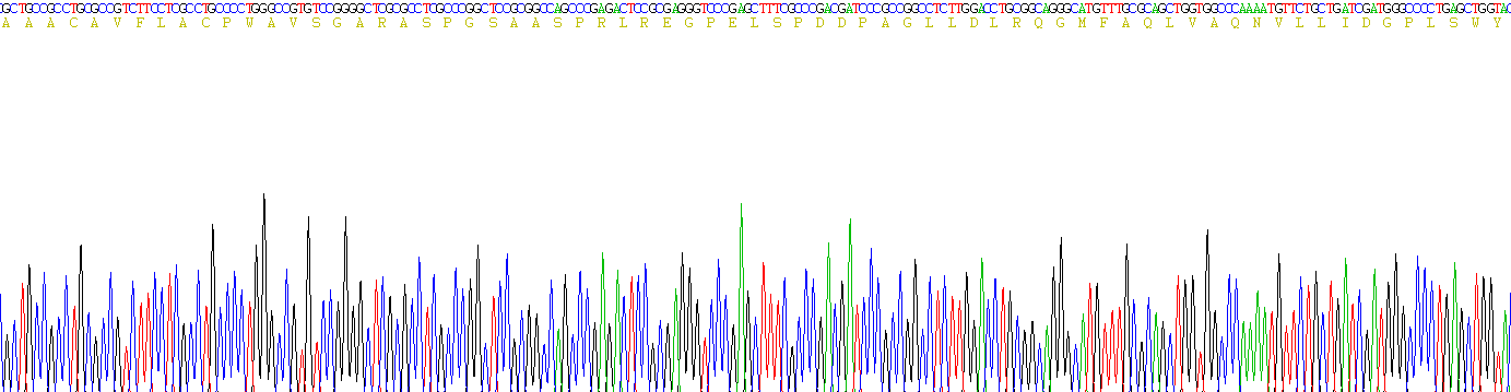 Recombinant Tumor Necrosis Factor Ligand Superfamily, Member 9 (TNFSF9)