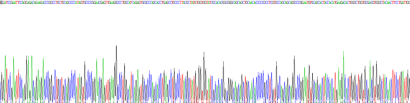 Recombinant Peptidoglycan Recognition Protein 1 (PGLYRP1)