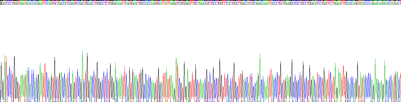 Recombinant Retinoic Acid Receptor Beta (RARb)