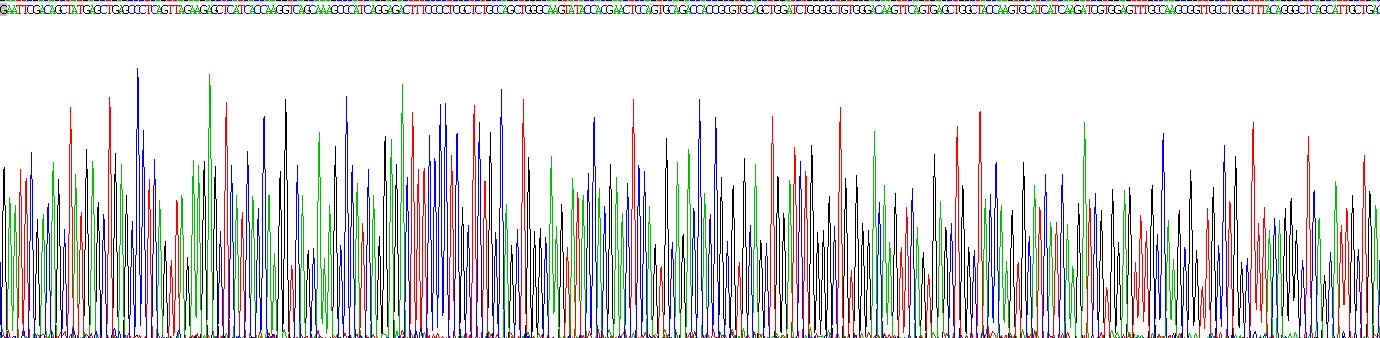 Recombinant Retinoic Acid Receptor Gamma (RARg)