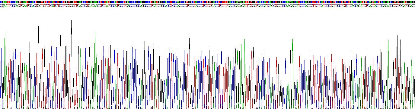 Recombinant Estrogen Related Receptor Alpha (ERRa)