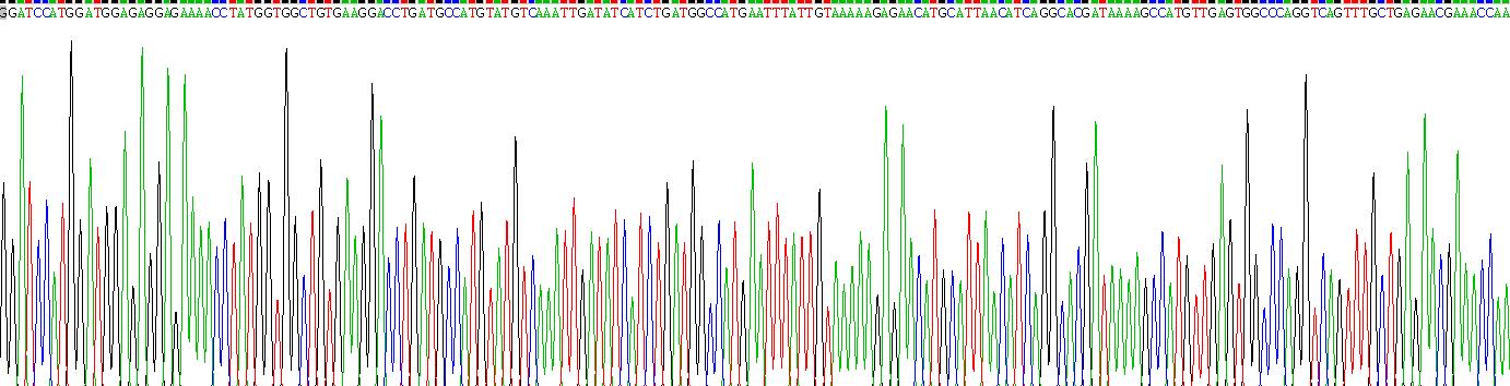 Recombinant Elongin C (ELOC)