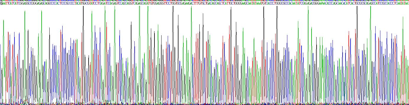 Recombinant Cathepsin G (CTSG)