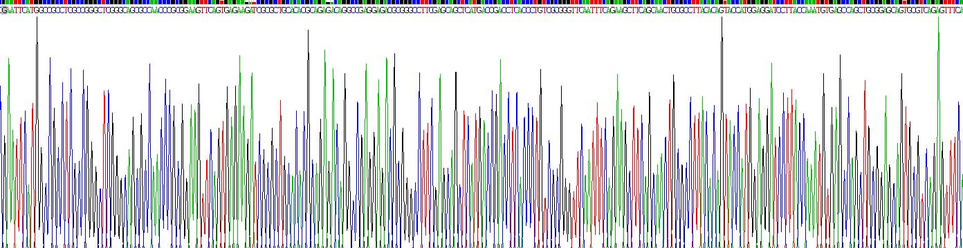 Recombinant CREB Regulated Transcription Coactivator 3 (CRTC3)