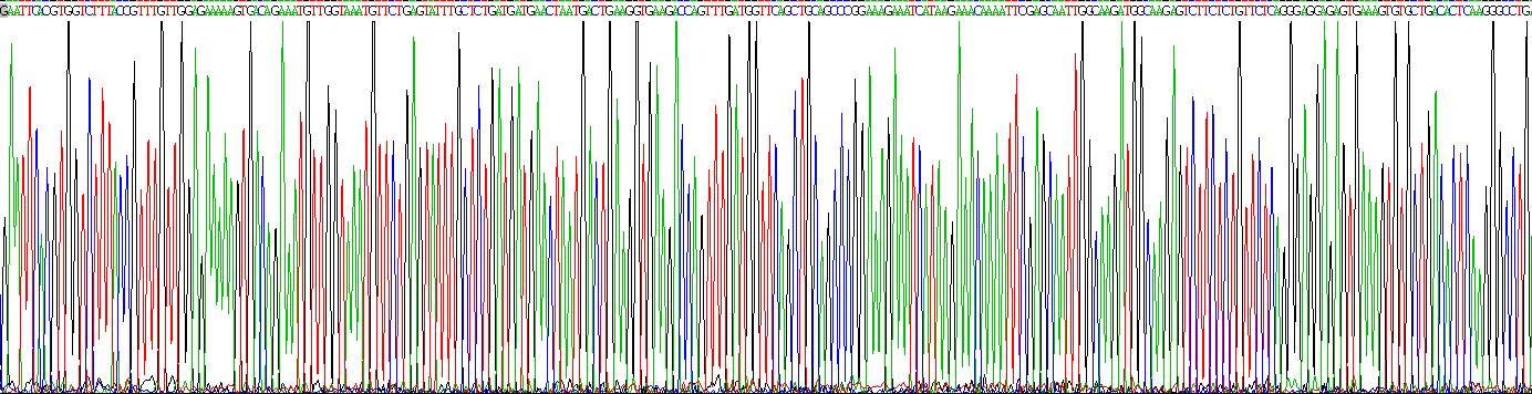 Recombinant Protein Phosphatase 3, Catalytic Subunit Beta Isoform (PPP3Cb)