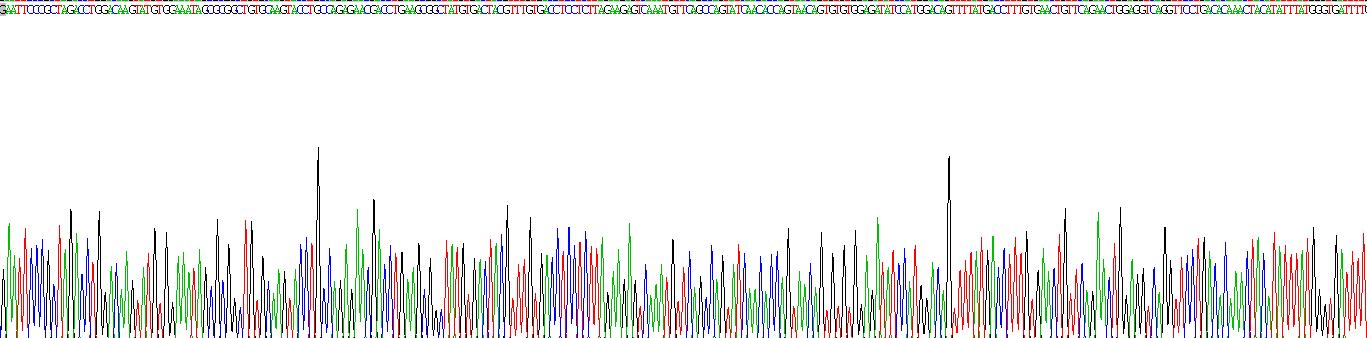 Recombinant Protein Phosphatase 6, Catalytic Subunit (PPP6C)