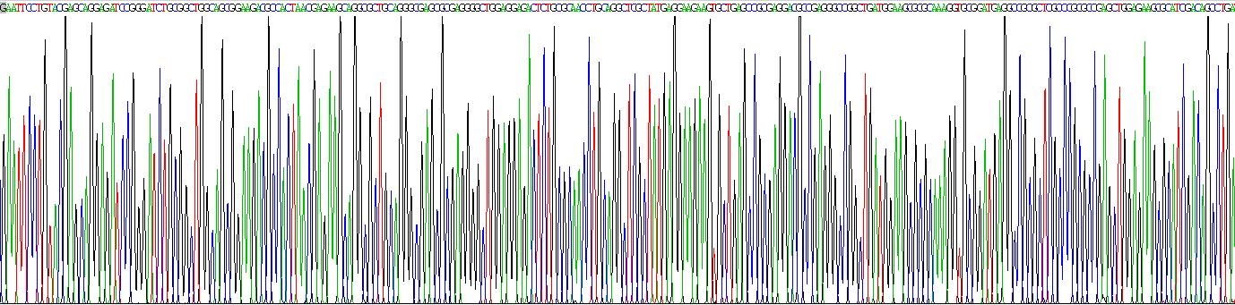 Recombinant Neurofilament, Light Polypeptide (NEFL)