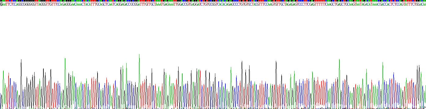 Recombinant Protocadherin Beta 8 (PCDHb8)