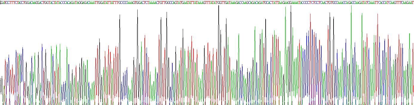 Recombinant Ephrin B2 (EFNB2)