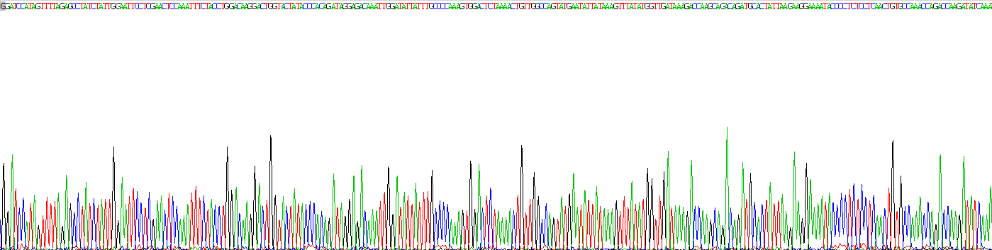 Recombinant Ephrin B2 (EFNB2)