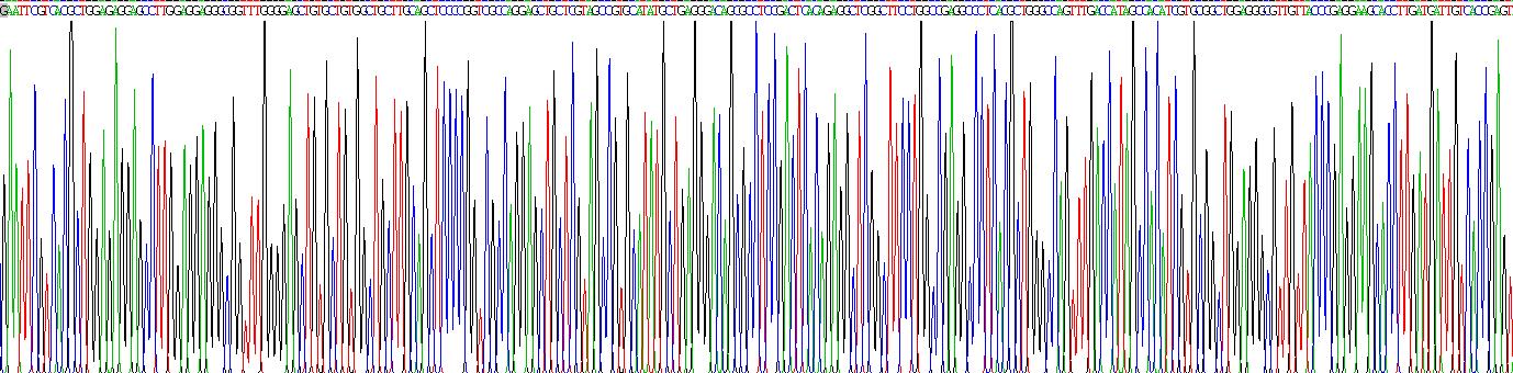 Recombinant Ephrin Type A Receptor 10 (EPHA10)