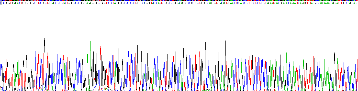 Recombinant Farnesyl Diphosphate Synthase (FDPS)