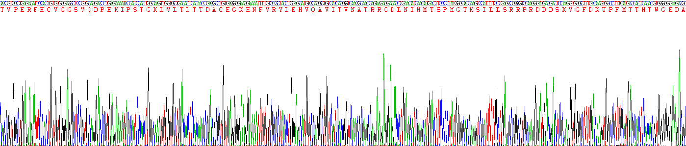 Recombinant Proprotein Convertase Subtilisin/Kexin Type 2 (PCSK2)