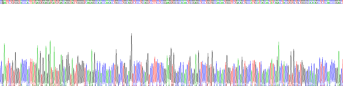 Recombinant Elastase 2A (ELA2A)