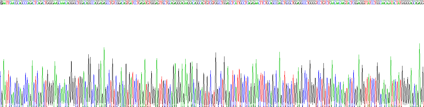 Recombinant Serine Hydroxymethyltransferase 2, Mitochondrial (SHMT2)