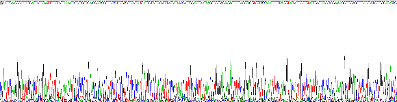 Recombinant Procollagen Lysine-2-Oxoglutarate-5-Dioxygenase 2 (PLOD2)