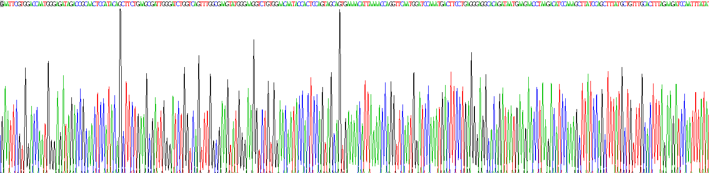 Recombinant Fyn Related Kinase (FRK)