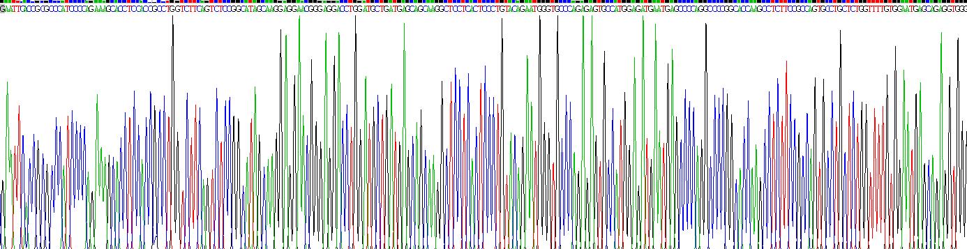 Recombinant Sodium/Glucose Cotransporter 2 (SGLT2)