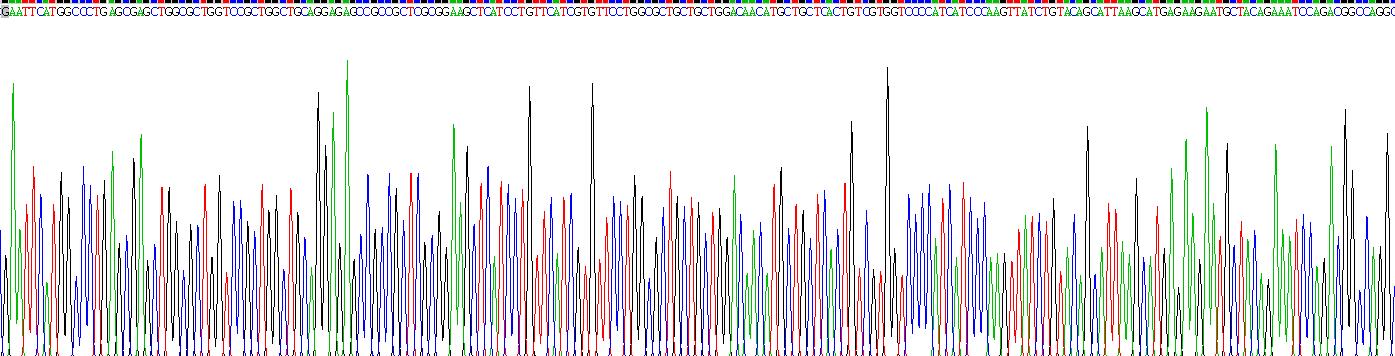 Recombinant Vesicular Monoamine Transporter 2 (VMAT2)