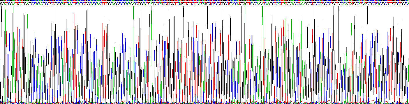 Recombinant Na+ Taurocholate Cotransporting Polypeptide (NTCP)