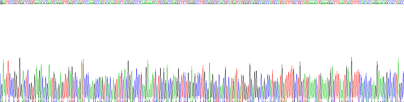 Recombinant Mitoferrin (MFRN)