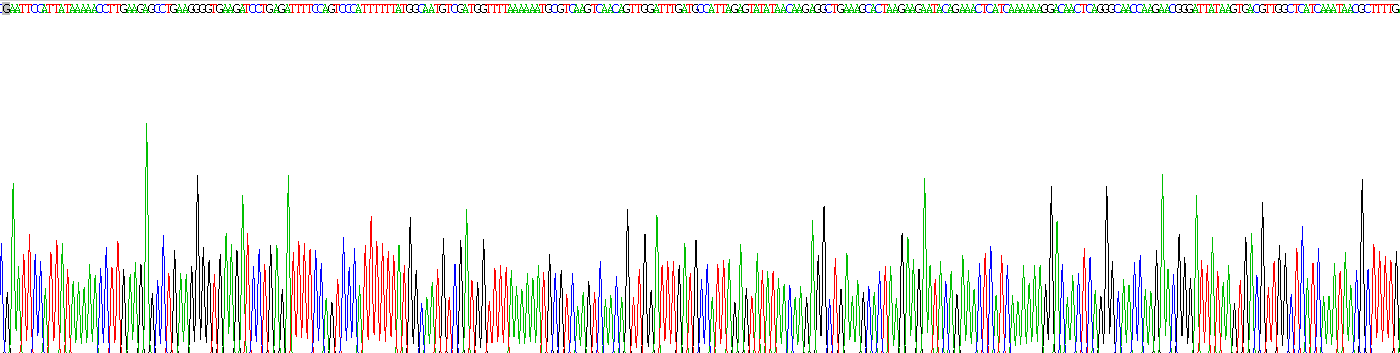 Recombinant Solute Carrier Family 26, Member 4 (SLC26A4)