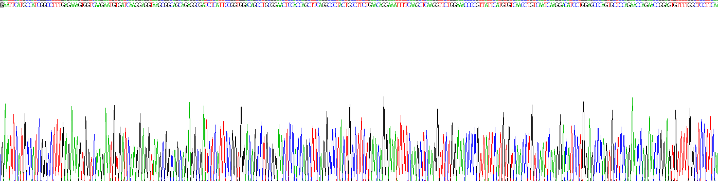 Recombinant Gasdermin D (GSDMD)