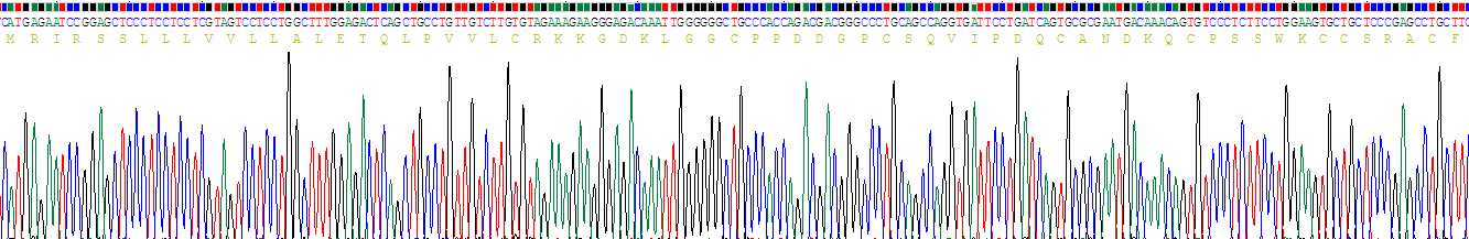 Recombinant WAP Four Disulfide Core Domain Protein 5 (WFDC5)