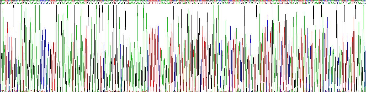 Recombinant TATA Box Binding Protein Associated Factor 13 (TAF13)