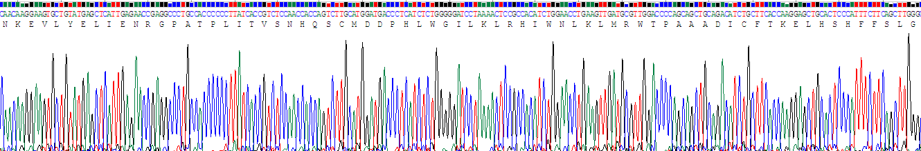 Recombinant Tafazzin (TAZ)