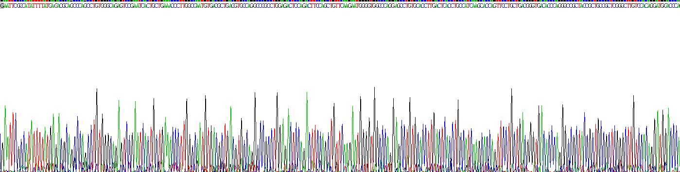 Recombinant Alpha-1-B-Glycoprotein (a1BG)