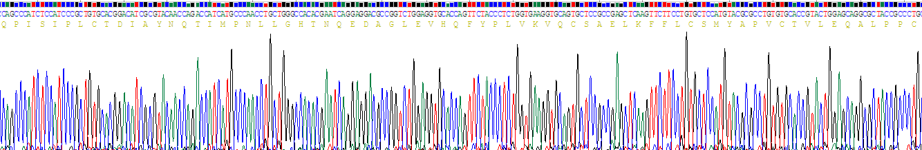 Recombinant Frizzled Homolog 1 (FZD1)