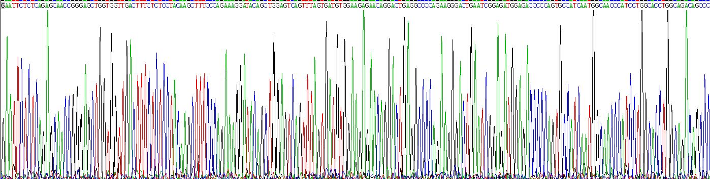 Recombinant B-Cell CLL/Lymphoma 2 Like Protein (Bcl2L)