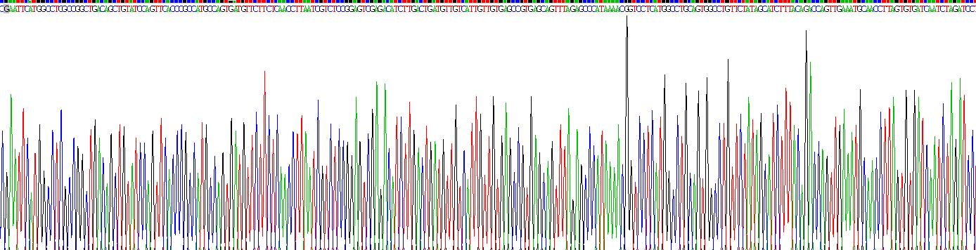 Recombinant B-Cell CLL/Lymphoma 6 (Bcl6)