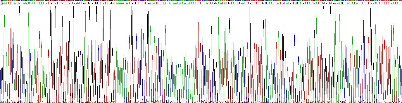 Recombinant Cell Division Cycle Protein 42 (CDC42)