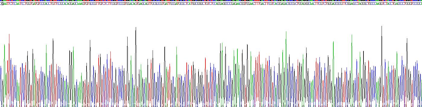 Recombinant Cyclin Dependent Kinase Inhibitor 1A (CDKN1A)