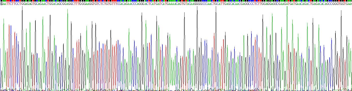 Recombinant Receptor Interacting Serine Threonine Kinase 1 (RIPK1)