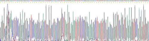 Recombinant FK506 Binding Protein 1A (FKBP1A)