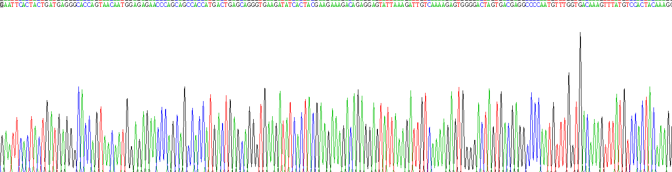 Recombinant FK506 Binding Protein 5 (FKBP5)