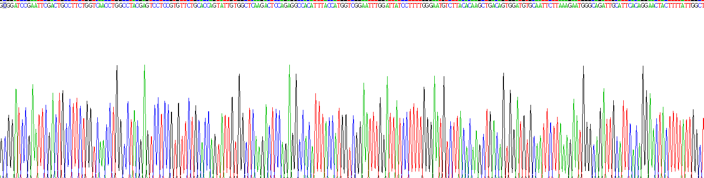 Recombinant N-Acylethanolamine Acid Amidase (NAAA)