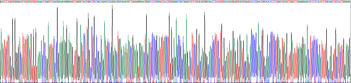 Recombinant Netrin G1 (NtnG1)