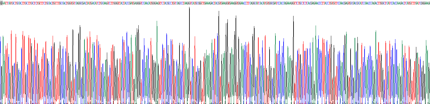 Recombinant Netrin G2 (NtnG2)