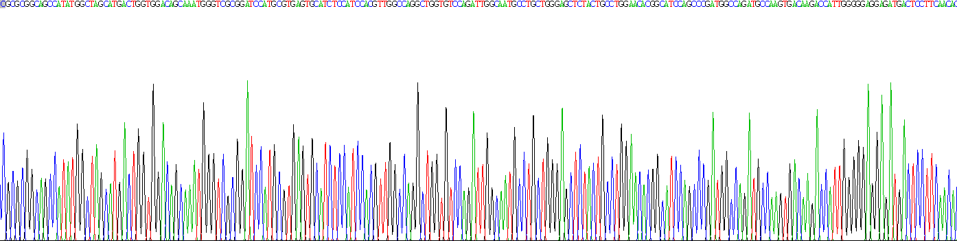 Recombinant Tubulin Alpha 1B (TUBa1B)