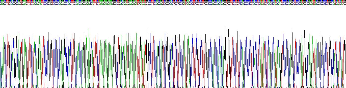 Recombinant Peroxisomal Biogenesis Factor 14 (PEX14)